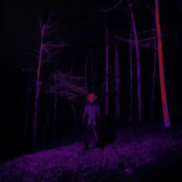 Destroy Lonely – Back Sippin