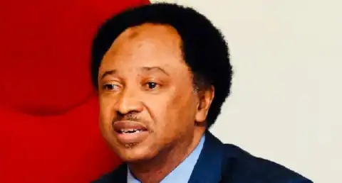 Replacing striking doctors with corps members absurd – Shehu Sani