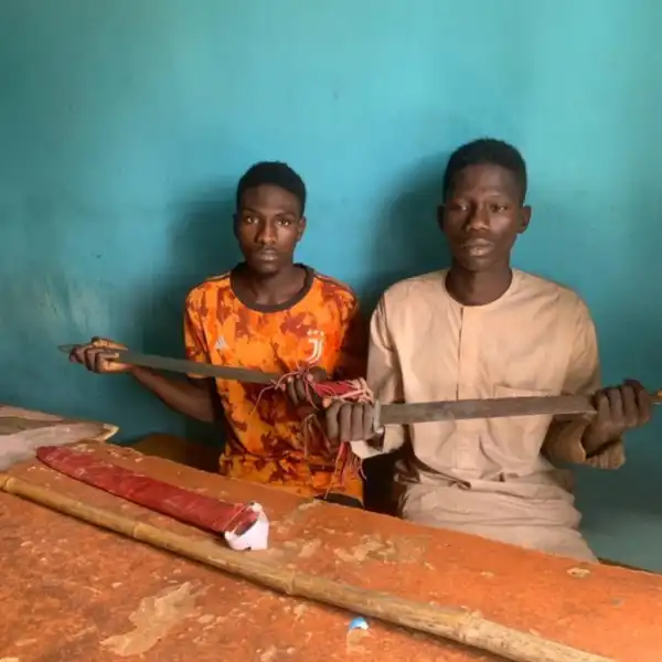Gombe: Police arrest two for armed robbery, criminal conspiracy
