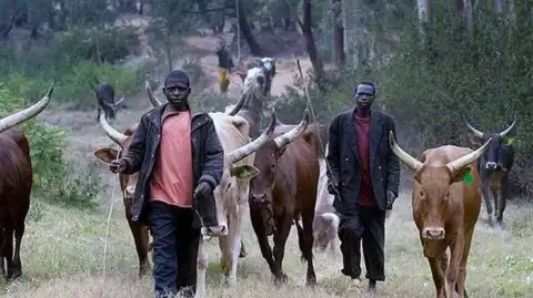 BREAKING!!! Panic In Benue State Community As Suspected Herdsmen Kills 40 In Fresh Attack