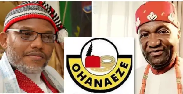 Igbos allowing Nigerian Civil War bitterness to affect them: John Nwodo