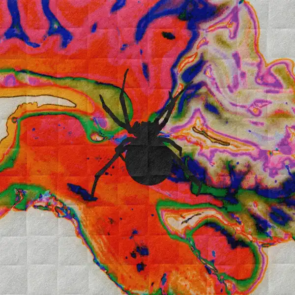 Meechy Darko – This Is Doses