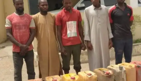 NSCDC Parades Suspected Vandals, One Other With Fake Dollar Notes In Bauchi