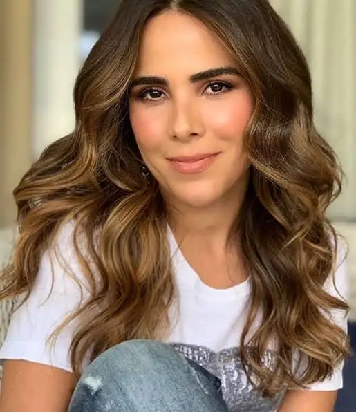 Biography & Career Of Wanessa Camargo