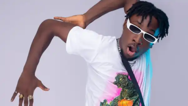 Biography & Career Of Incredible Zigi