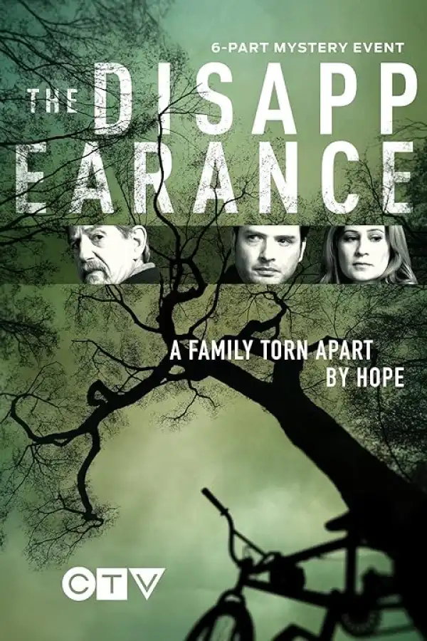 The Disappearance (TV series)