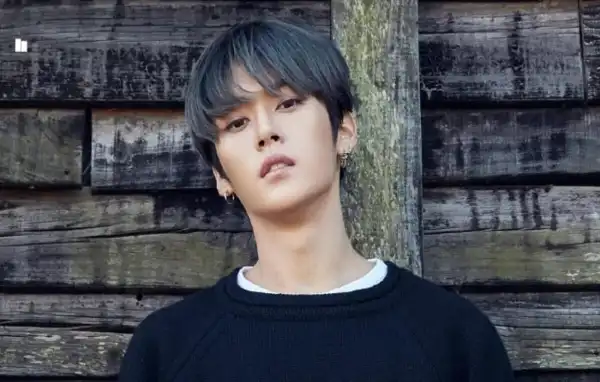 Career & Net Worth Of Lee Know (Stray Kids)