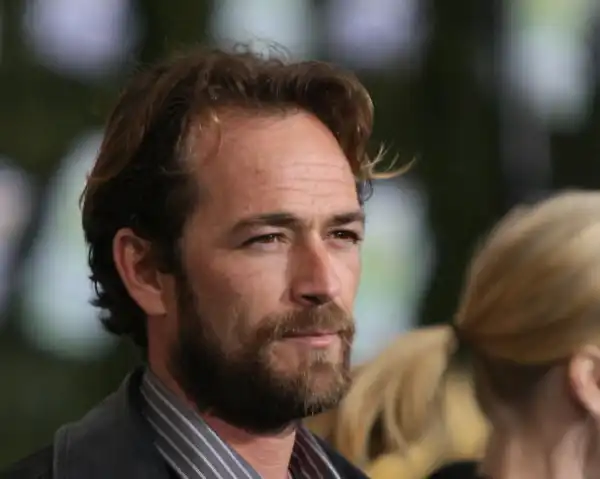 Biography & Career Of Luke Perry
