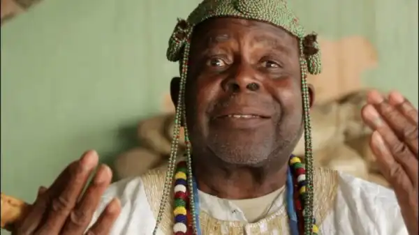 Ifa Priest, Ifayemi Elebuibon Charges Yorubas To Protect Themselves In Traditional Way Over Insecurity