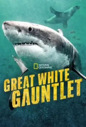 Great White Gauntlet (2026)