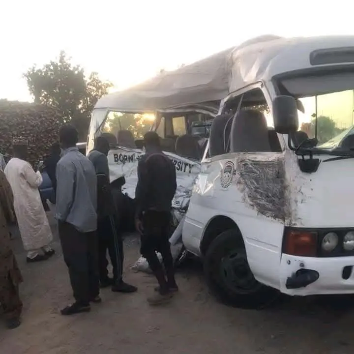 Protest rocks Borno varsity as Dangote truck crushes final-year student, one other to death