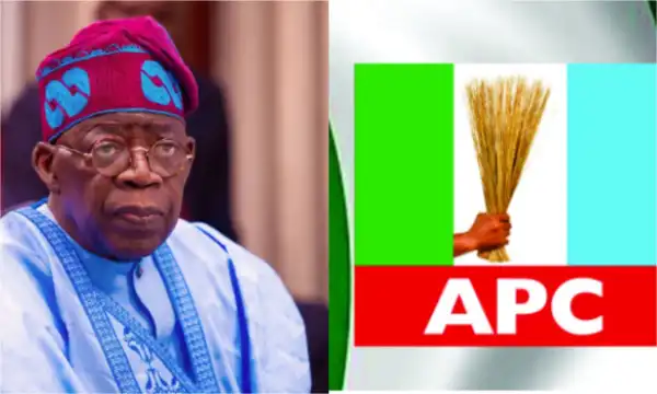 Tinubu, APC out to cripple opposition ahead of 2027 election – Habibu, Zuwoghe