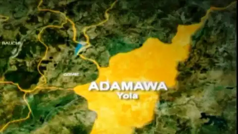 Woman allegedly beheaded in Adamawa hotel