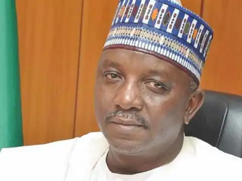 How we plan to solve power sector challenges, by Mamman