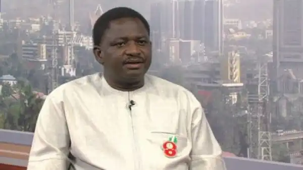 Buhari Will End Insurgency In Next 17 Months – Femi Adesina