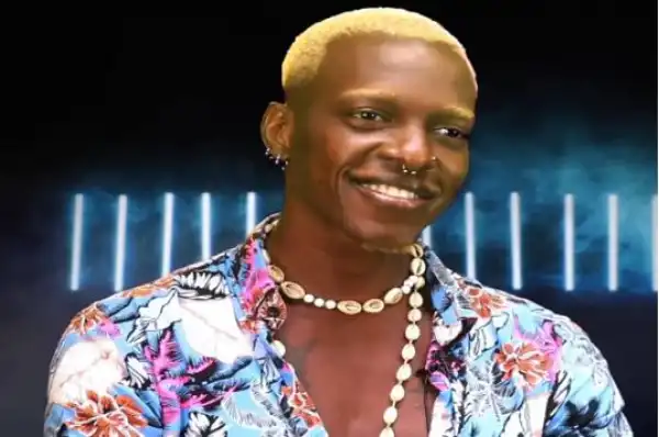 BBNaija: Hermes Analyses Housemates