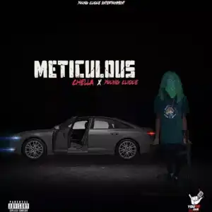 Chella – Meticulous ft. Young Clique