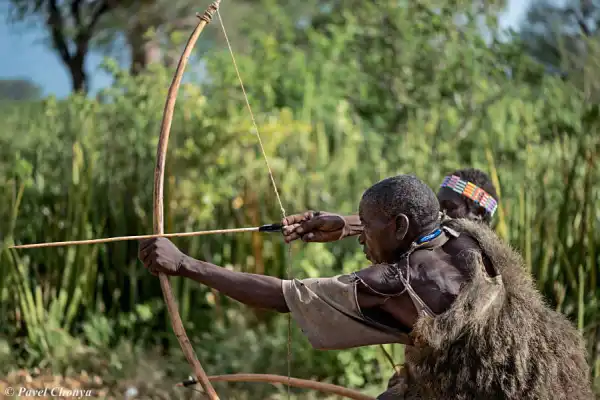 Hunters reportedly rescue baby buried alive in Benue