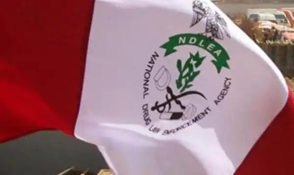 NDLEA probes Delta killing by officer