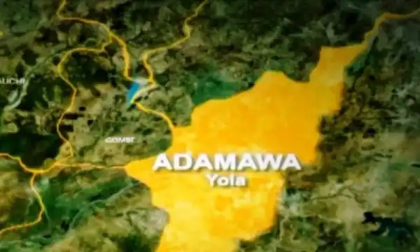 Abducted 10-year-old girl found abandoned in Adamawa