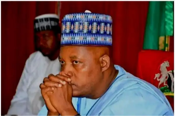 Shettima: Osinbajo Should Be Selling Popcorn And Ice Cream