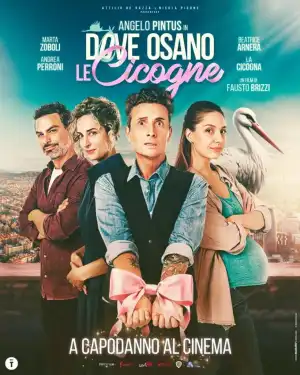Dove Osano Le Cicogne (2025) [Italian]