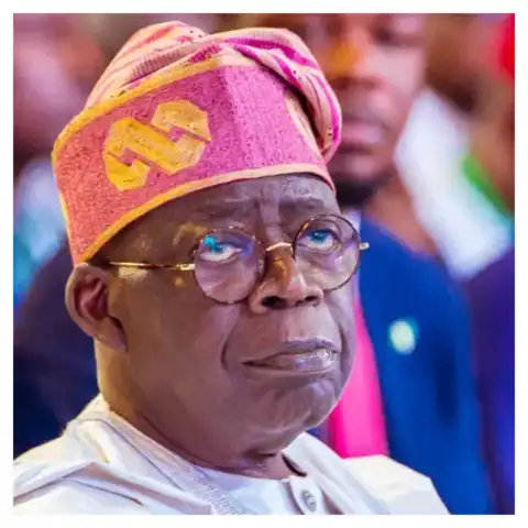 Hardship: Tinubu destroyed everything he met on ground within two years – Peter Ameh