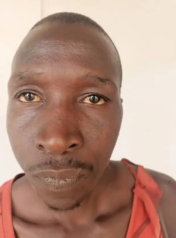 Police Arrest 30 year-old Man For Allegedly Defiling 5-year-old Girl In Adamawa