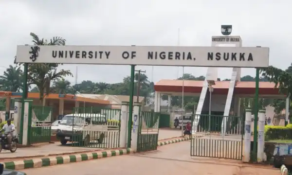 UNN sued over Peter Obi’s academic records