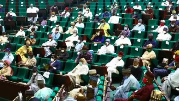 BREAKING: Reps pass 2022 budget, raise estimates to N17tn