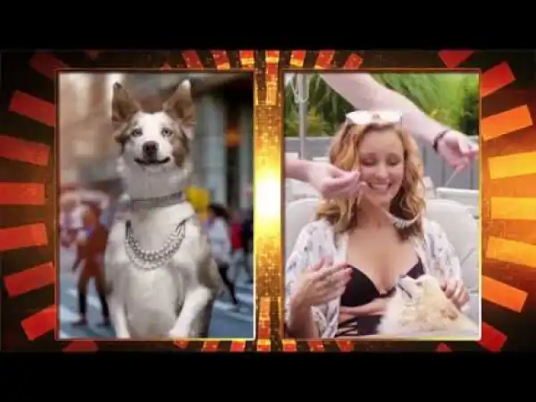 Pawparazzi (2018) (Official Trailer)