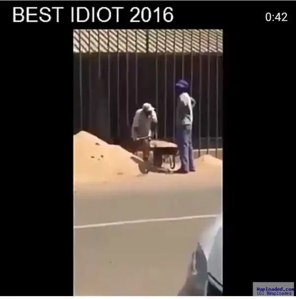 Are these the best fools in 2016