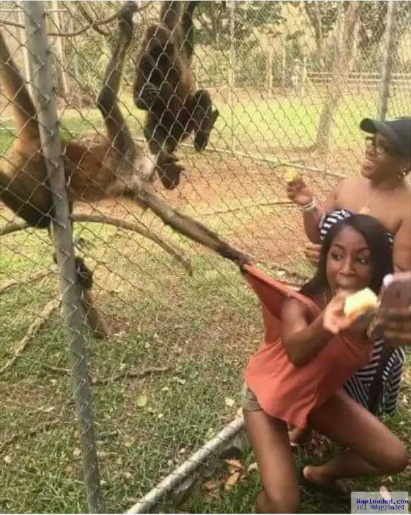 Hahaha Selfie Gone Wrong (What do you think?) 