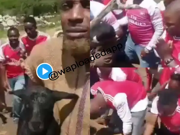 Arsenal Fans resort to Juju after seeing what Juju did for Man United against Man City