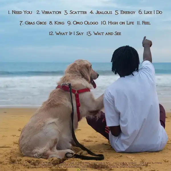 Top 5 Best Songs on Fireboy DML "Laughter, Tears and Goosebumps" album