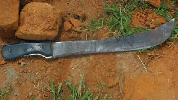 24-Year Old Man Kills Friend With Machete In Ogun