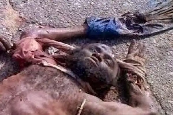 Abubakar Shekau killed was one Bashir Mohammed – SR
