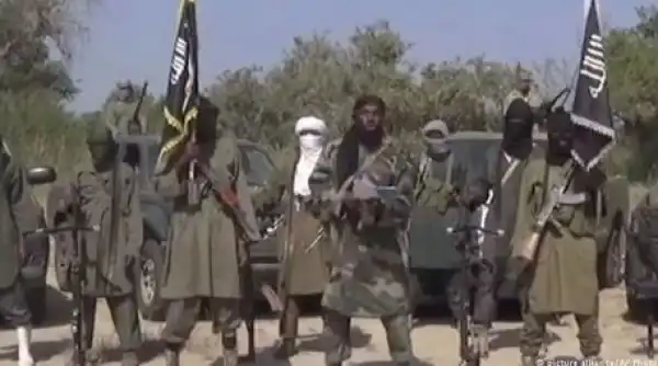 Boko Haram Raids Yobe Towns, Steals Foodstuffs
