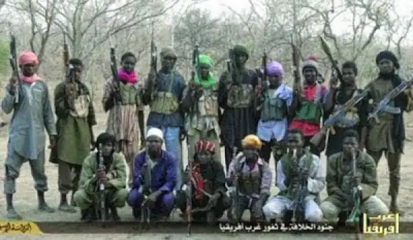 Boko Haram Sells Seized Goats In Exchange For Fuel
