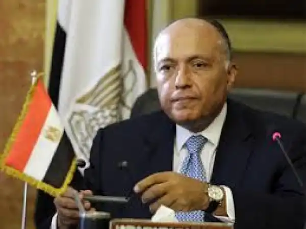Egypt Tasks Buhari On Inaugural Speech - Read What They Say