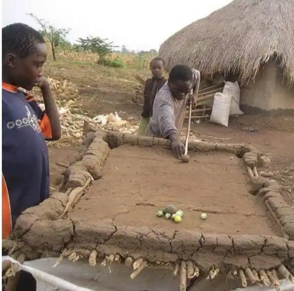 Funny Photo Of The Day