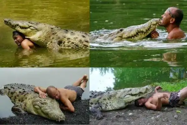 Man Nurses Crocodile, Becomes Best Friend With It 