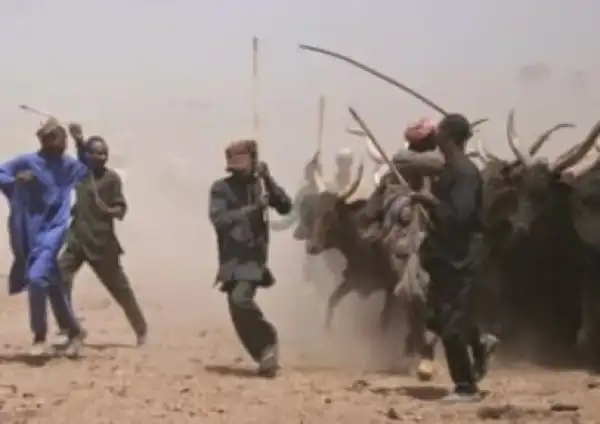 Many killed as Fulani herdsmen invade a village in Nasarawa