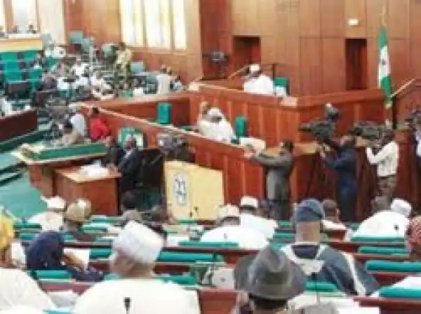 National Assembly Approves Life Pension For President, Vice In New Constitution