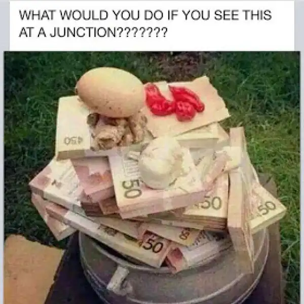 Photo: What Would You Do If You Saw This at a Junction?