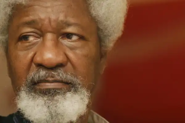 Power grabbers want to truncate Nigeria’s democracy - Soyinka