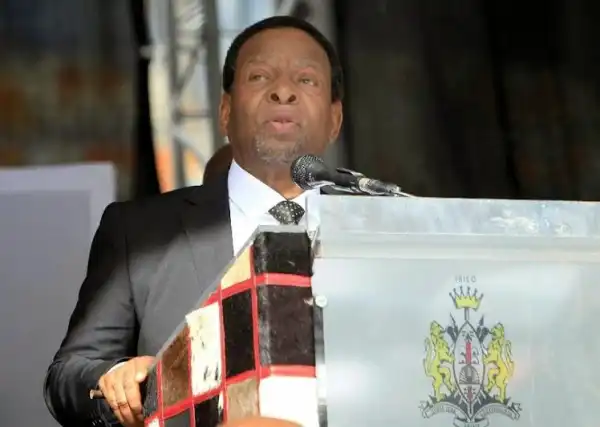 Xenophobic: South Africa King Pleaded With South Africans To Stop Attacking Foreigners
