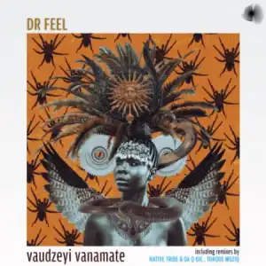 Dr Feel – Vaudzeyi Vanamate (EP)