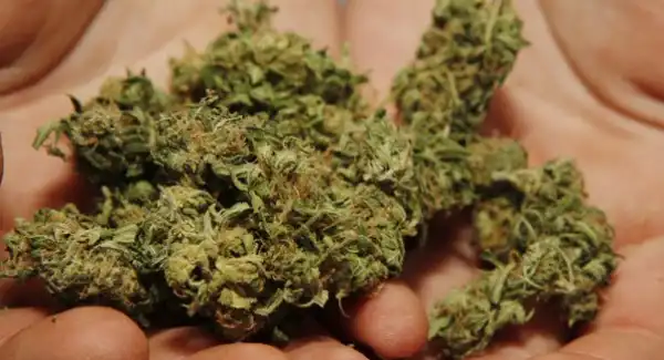 MUST READ: How I Overcame Marijuana Addiction