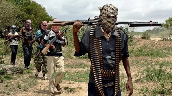 Terrorists kidnap over 80 youths in Zamfara